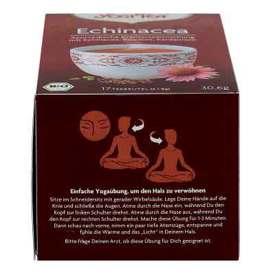Yogi Tea Echinacea Bio Filterbeutel bei apo-discounter.de bestellen