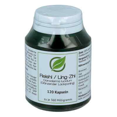 Reishi Ganoderma lucidum 360 mg Hartkapseln bei apo-discounter.de bestellen