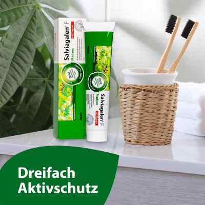 Salviagalen F Madaus Zahncreme bei apo-discounter.de bestellen