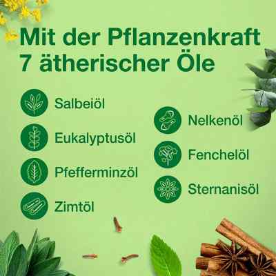 Salviathymol N Madaus Tropfen bei apo-discounter.de bestellen
