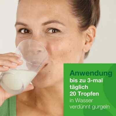 Salviathymol N Madaus Tropfen bei apo-discounter.de bestellen