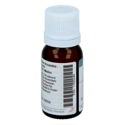 Causticum Hahnemanni D6 Globuli bei apo-discounter.de bestellen