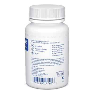 Pure Encapsulations Schlaf Formel Kapseln bei apo-discounter.de bestellen