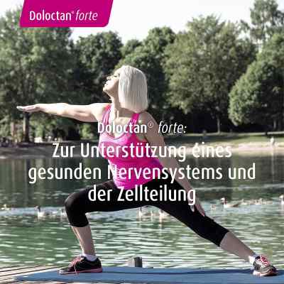 Doloctan forte Kapseln bei apo-discounter.de bestellen