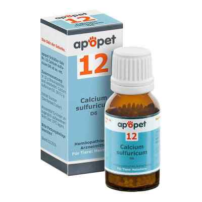 Apopet Schüssler-salz Nummer 12 Calcium sulf.D 6 veterinär bei apo-discounter.de bestellen