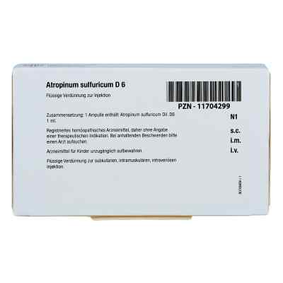 Atropinum Sulfuricum D 6 Ampullen bei apo-discounter.de bestellen