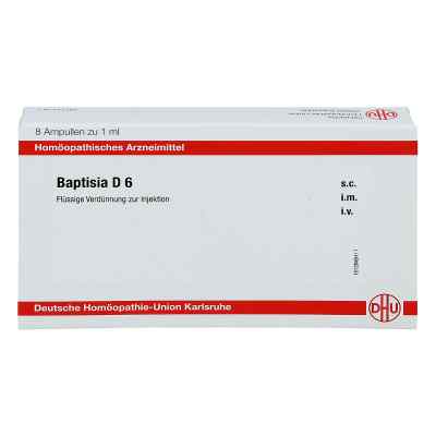 Baptisia D 6 Ampullen bei apo-discounter.de bestellen