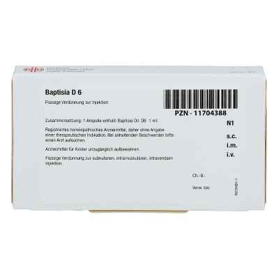 Baptisia D 6 Ampullen bei apo-discounter.de bestellen