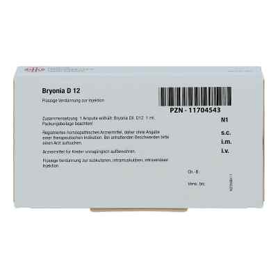 Bryonia D 12 Ampullen bei apo-discounter.de bestellen