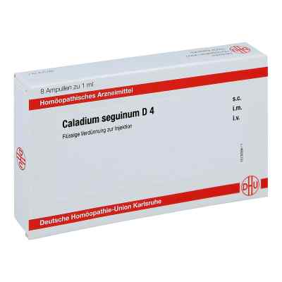 Caladium seguinum D4 Ampullen bei apo-discounter.de bestellen