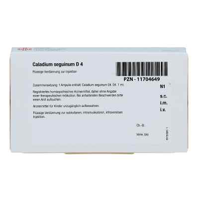 Caladium seguinum D4 Ampullen bei apo-discounter.de bestellen