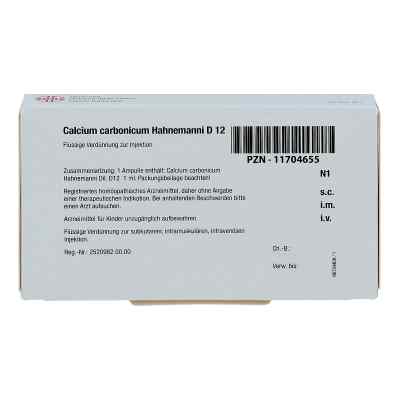 Calcium Carbonicum Hahnemanni D 12 Ampullen bei apo-discounter.de bestellen