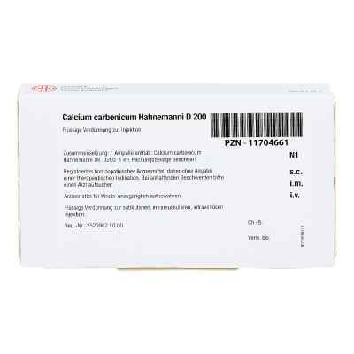 Calcium Carbonicum Hahnemanni D 200 Ampullen bei apo-discounter.de bestellen
