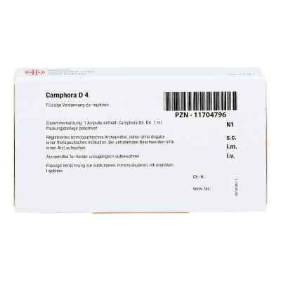 Camphora D 4 Ampullen bei apo-discounter.de bestellen