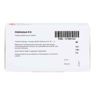 Chelidonium D 6 Ampullen bei apo-discounter.de bestellen