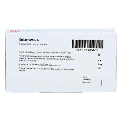 Dulcamara D 6 Ampullen bei apo-discounter.de bestellen