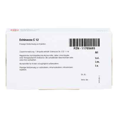 Echinacea C 12 Ampullen bei apo-discounter.de bestellen