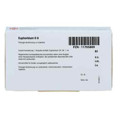 Euphorbium D 6 Ampullen bei apo-discounter.de bestellen