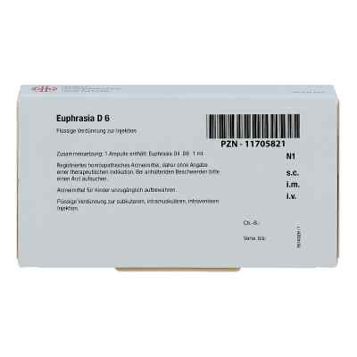 Euphrasia D 6 Ampullen bei apo-discounter.de bestellen