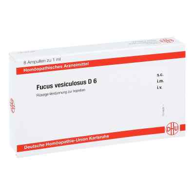 Fucus Vesiculosus D 6 Ampullen bei apo-discounter.de bestellen