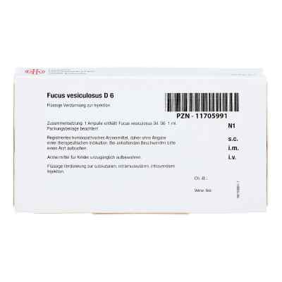 Fucus Vesiculosus D 6 Ampullen bei apo-discounter.de bestellen