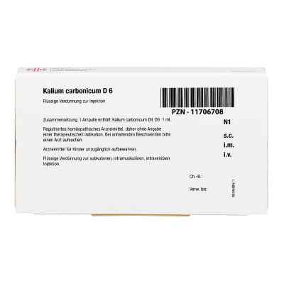 Kalium Carbonicum D 6 Ampullen bei apo-discounter.de bestellen