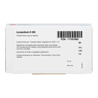 Lycopodium D 200 Ampullen bei apo-discounter.de bestellen