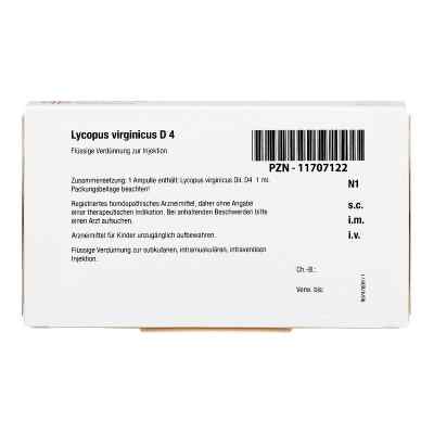 Lycopus Virginicus D 4 Ampullen bei apo-discounter.de bestellen