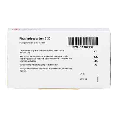 Rhus Toxicodendron C 30 Ampullen bei apo-discounter.de bestellen