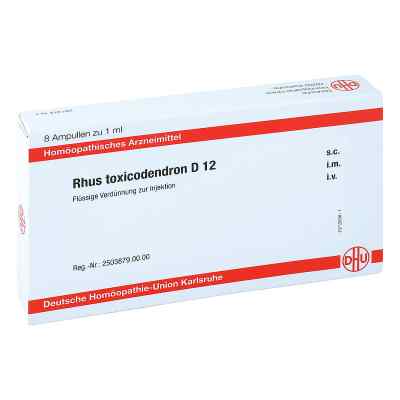 Rhus Toxicodendron D 12 Ampullen bei apo-discounter.de bestellen