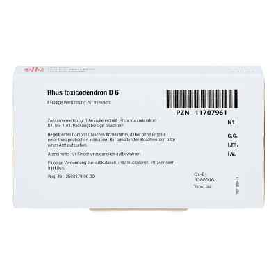Rhus Toxicodendron D 6 Ampullen bei apo-discounter.de bestellen