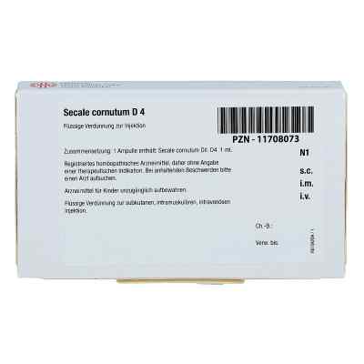 Secale Cornutum D 4 Ampullen bei apo-discounter.de bestellen