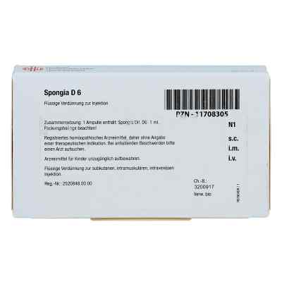 Spongia D 6 Ampullen bei apo-discounter.de bestellen