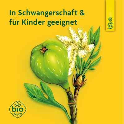Manna-feigen-sirup Schoenenberger bei apo-discounter.de bestellen