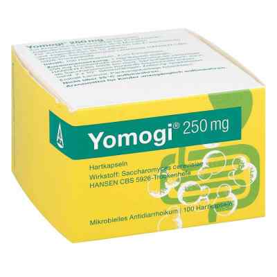 Yomogi 250mg 5 Billionen Zellen bei apo-discounter.de bestellen