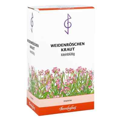 Weidenröschenkraut kleinblütig Tee bei apo-discounter.de bestellen