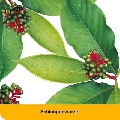 Dysto Loges Tabletten bei apo-discounter.de bestellen