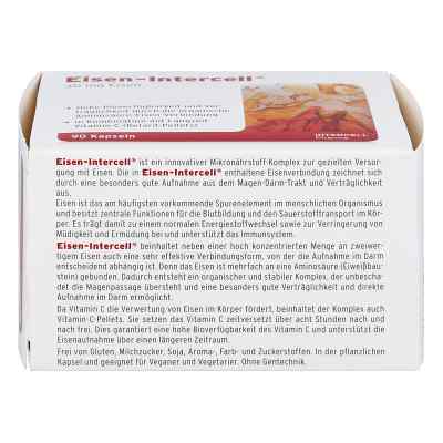 Eisen-intercell Kapseln bei apo-discounter.de bestellen