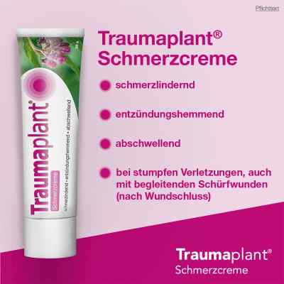 Traumaplant Schmerzcreme bei apo-discounter.de bestellen