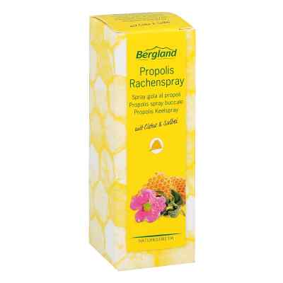 Propolis Rachenspray 20 ml von Bergland-Pharma GmbH & Co. KG PZN 12489006