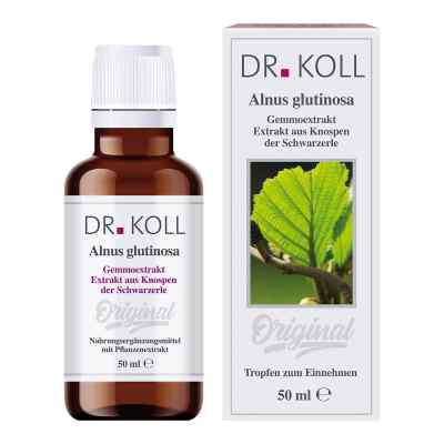 Gemmoextrakt Schwarzerle Alnus Glutinosa Tropfen bei apo-discounter.de bestellen