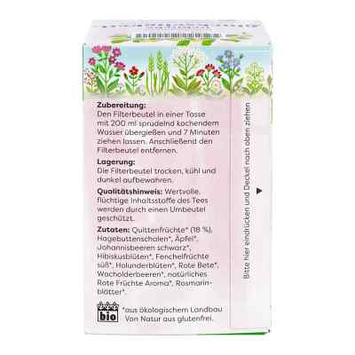 Bauerngarten-Tee Glückseligkeit Früchtetee Salus bei apo-discounter.de bestellen