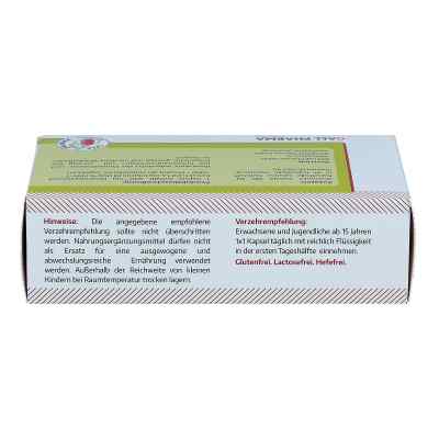 Rosenwurz 400 mg Kapseln bei apo-discounter.de bestellen