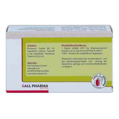Rosenwurz 400 mg Kapseln bei apo-discounter.de bestellen