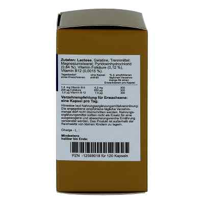 Folsäure+vitamin B6+b12 Komplex N Kapseln bei apo-discounter.de bestellen