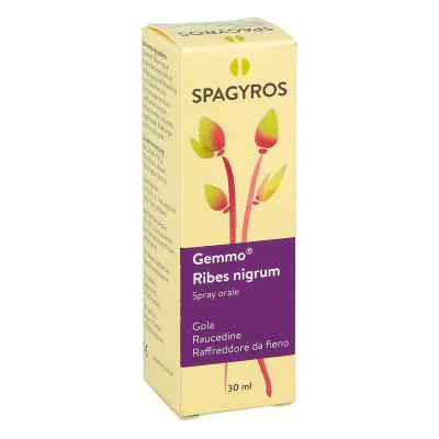 Gemmo Ribes nigrum Mundspray bei apo-discounter.de bestellen