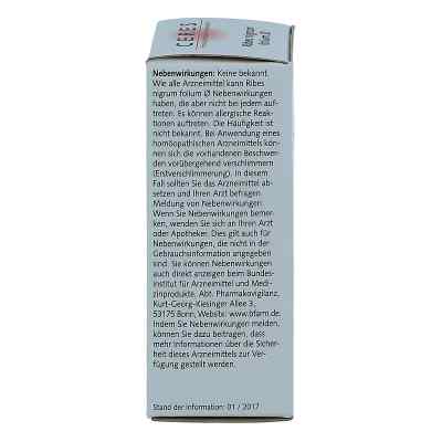 Ceres Ribes nigrum folium Urtinktur bei apo-discounter.de bestellen