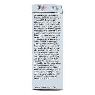Ceres Solidago virgaurea Urtinktur bei apo-discounter.de bestellen
