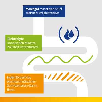 Laxatan M Granulat zur, zum Herstell.ein.Susp.z.Einn. bei apo-discounter.de bestellen