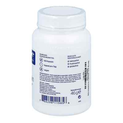 Pure Encapsulations Curcumin mit Bioperine Kapseln bei apo-discounter.de bestellen